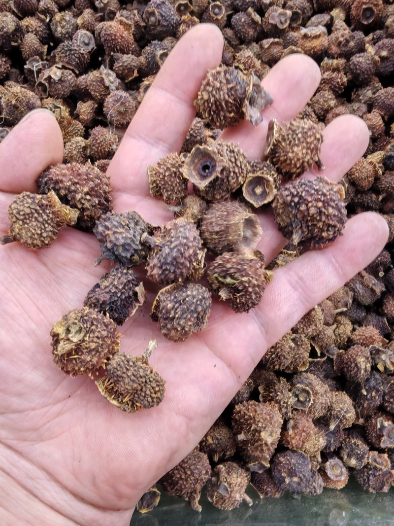 刺梨干刺梨果干货大货批发刺梨果干一件代发