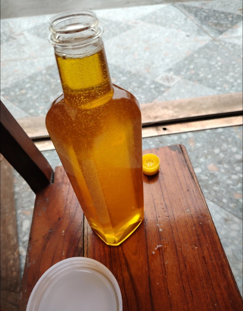 广西凌云特产山茶油