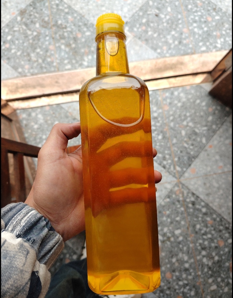 广西凌云特产山茶油