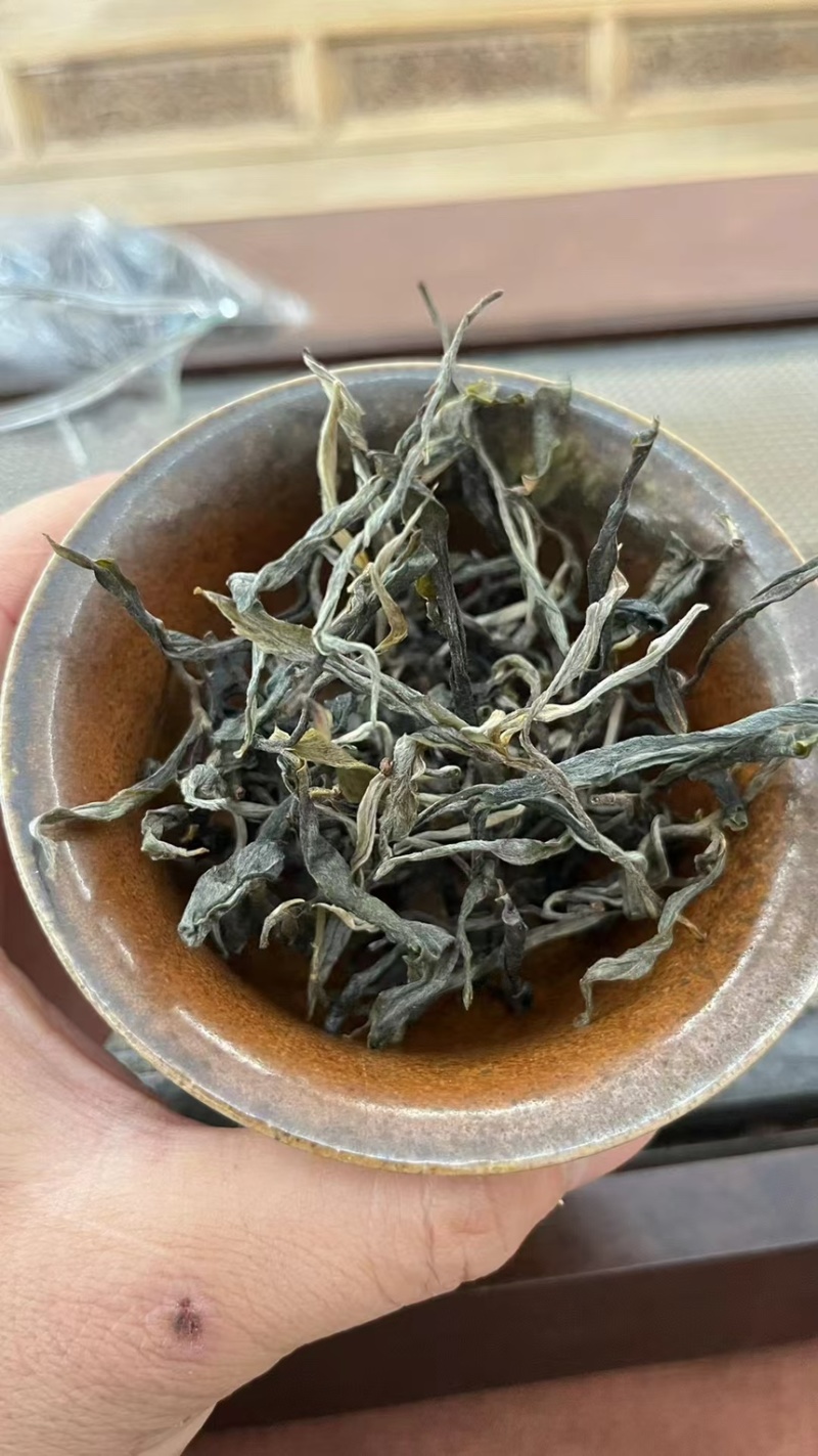 普洱，古树普洱茶，一件代发，精品货源，欢迎咨询