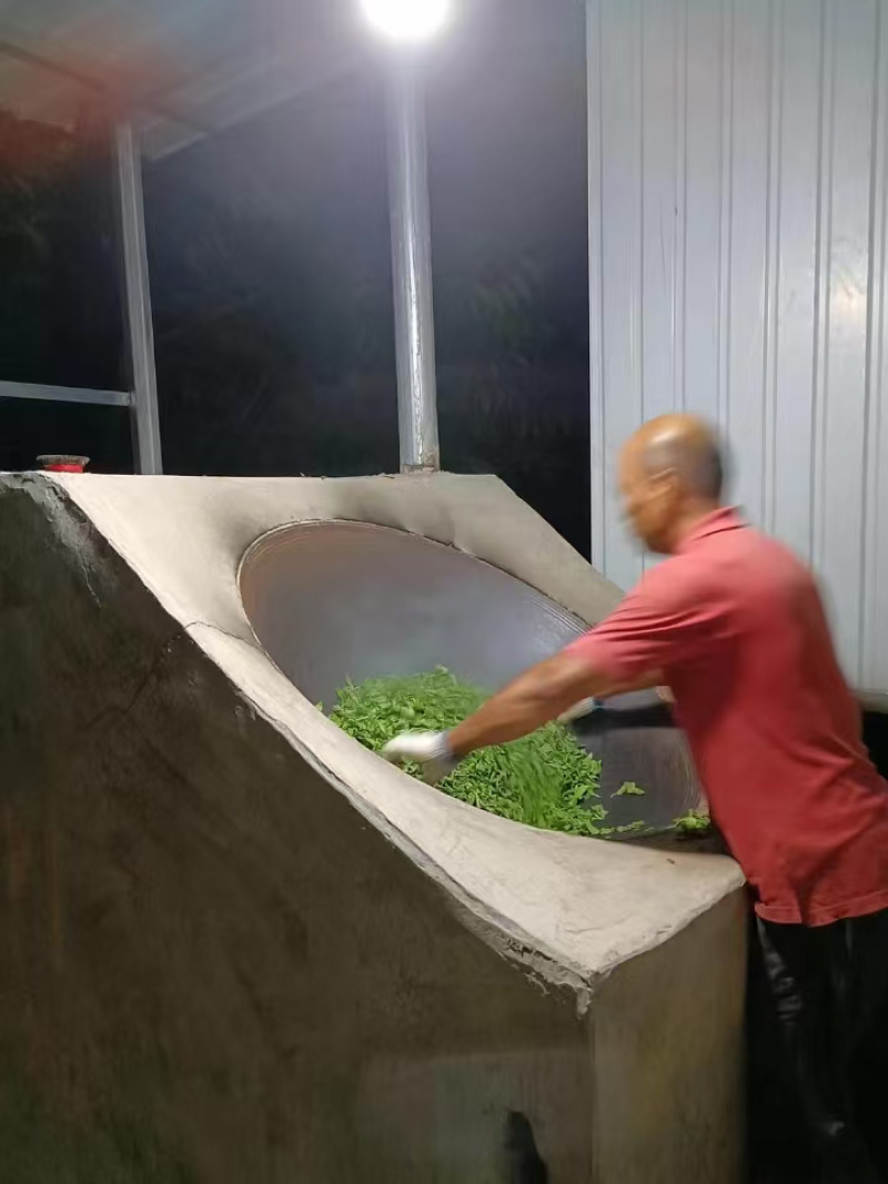 普洱，古树普洱茶，一件代发，精品货源，欢迎咨询