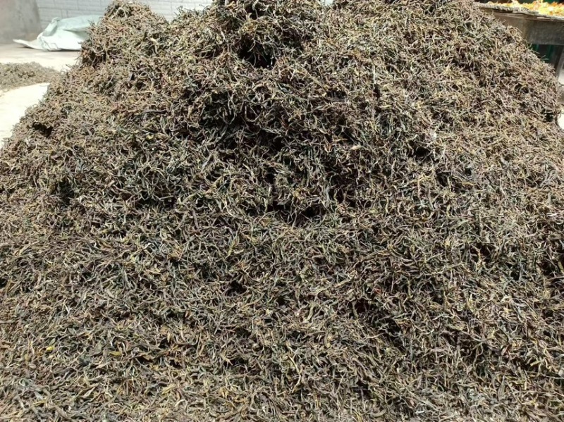 普洱，古树普洱茶，一件代发，精品货源，欢迎咨询