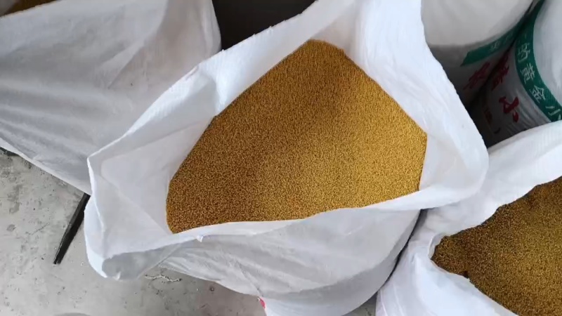 自产优质小米