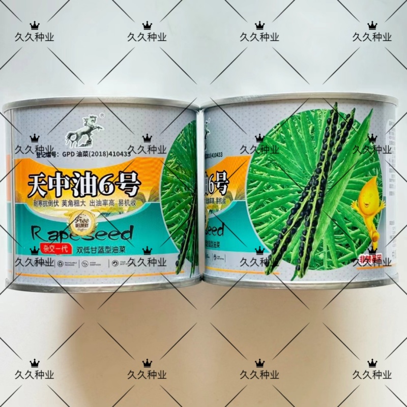天中油6号油菜种子高产高油耐寒抗病抗倒伏农家秋季播种