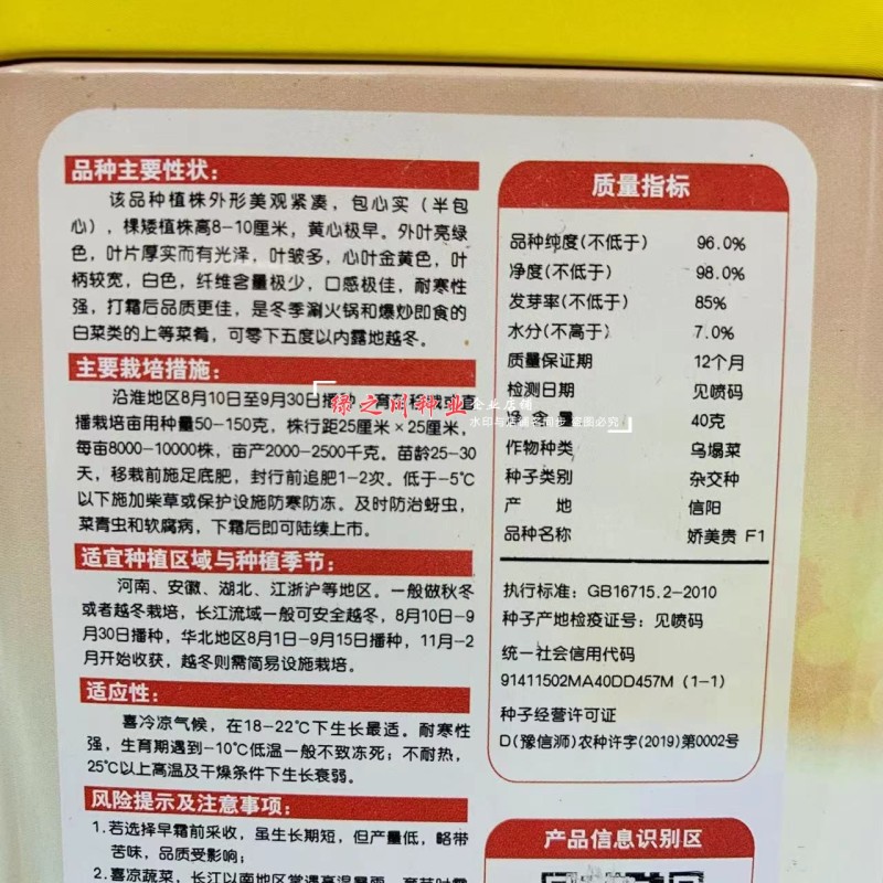 娇美贵黄心乌种子耐寒乌塌菜种子腊月乌菜黄心菜种子抗寒
