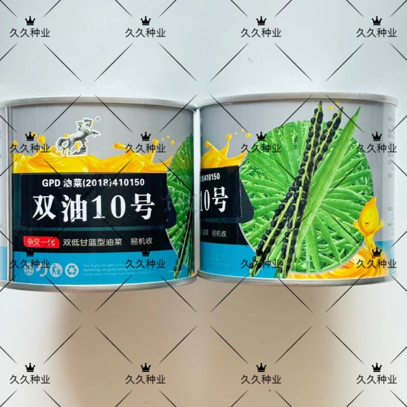双油10号油菜种子杂交一代高产高油矮杆大粒黑籽耐寒抗病
