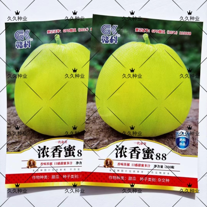 浓香蜜88甜瓜种子杂交一代中早熟甜瓜品种商品果实丰满整齐