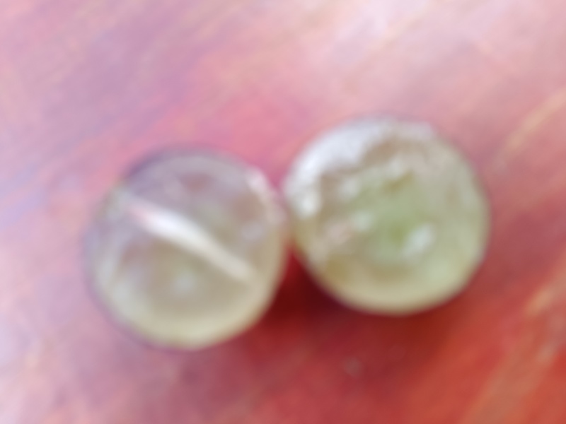 重庆奉节巨峰葡萄开园，颗粒大糖高，货源充足，一手货源
