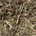 花生秧子牛羊草料