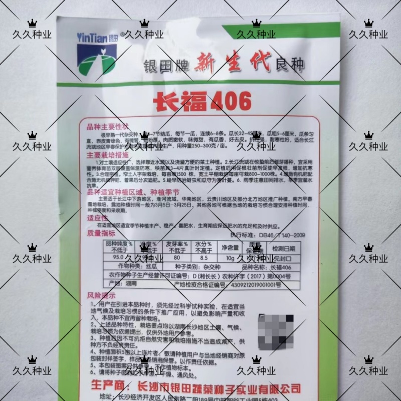 长福406肉丝瓜种子极早熟高产青绿色丝瓜种籽耐寒丝瓜