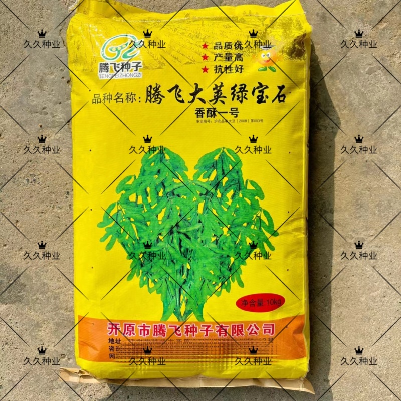 腾飞大荚绿宝石香酥一号毛豆种子高产抗性好品质优毛豆种籽