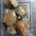 野外小甲鱼活体水鱼团鱼老鳖苗中华鳖生态养殖食用淡水便宜半