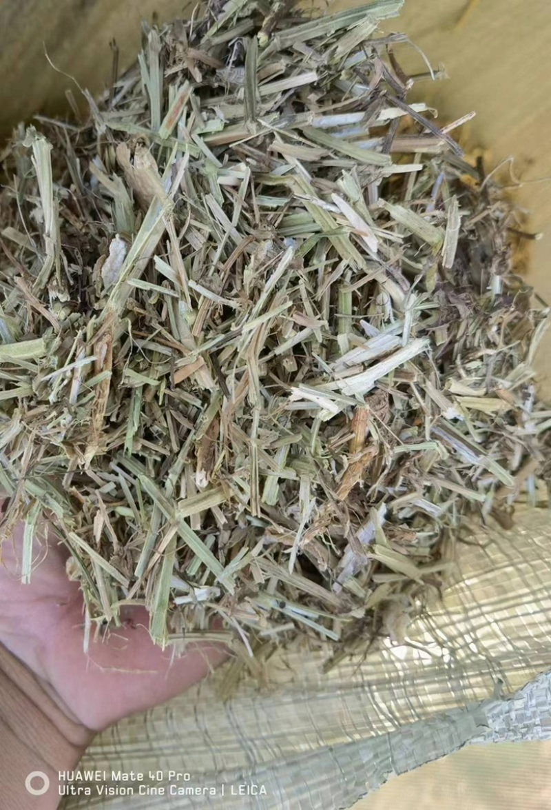 花生秧子牛羊草料质量保证，无霉变，无坏，可视频看货