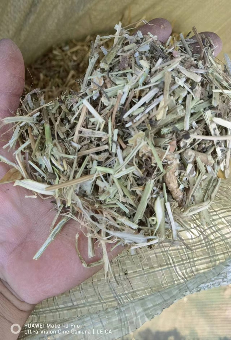 花生秧子牛羊草料质量保证，无霉变，无坏，可视频看货