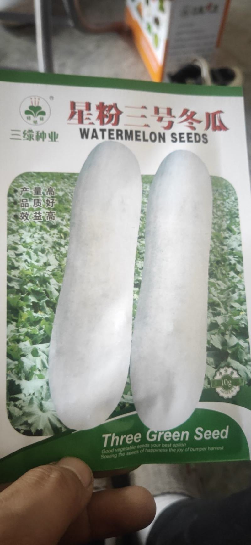 长条型白皮冬瓜种子铁心冬瓜全国发货抗病高产保成活率
