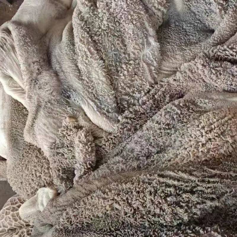 生牛肚