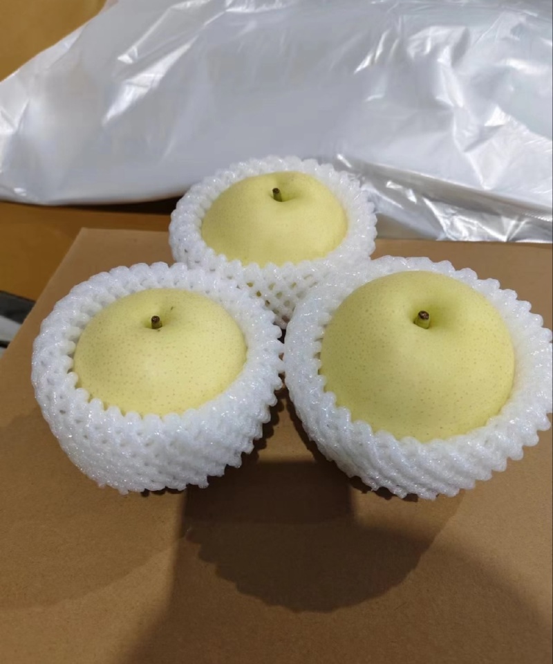 【推荐】河北皇冠梨供应市场商超电商量大价优