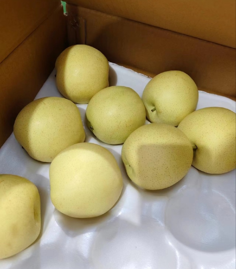 【推荐】河北皇冠梨供应市场商超电商量大价优
