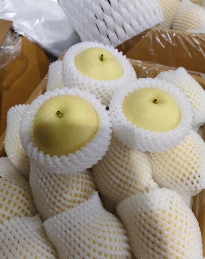 【推荐】河北皇冠梨供应市场商超电商量大价优