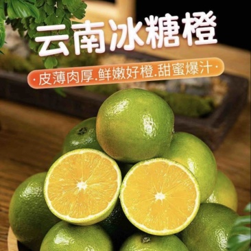 云南玉溪冰糖橙【现摘现发】一手货源，可视频看货