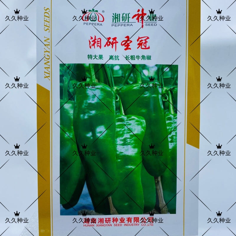 湘研圣冠辣椒种子春秋中熟微辣粗大果牛角椒质脆丰产抗病