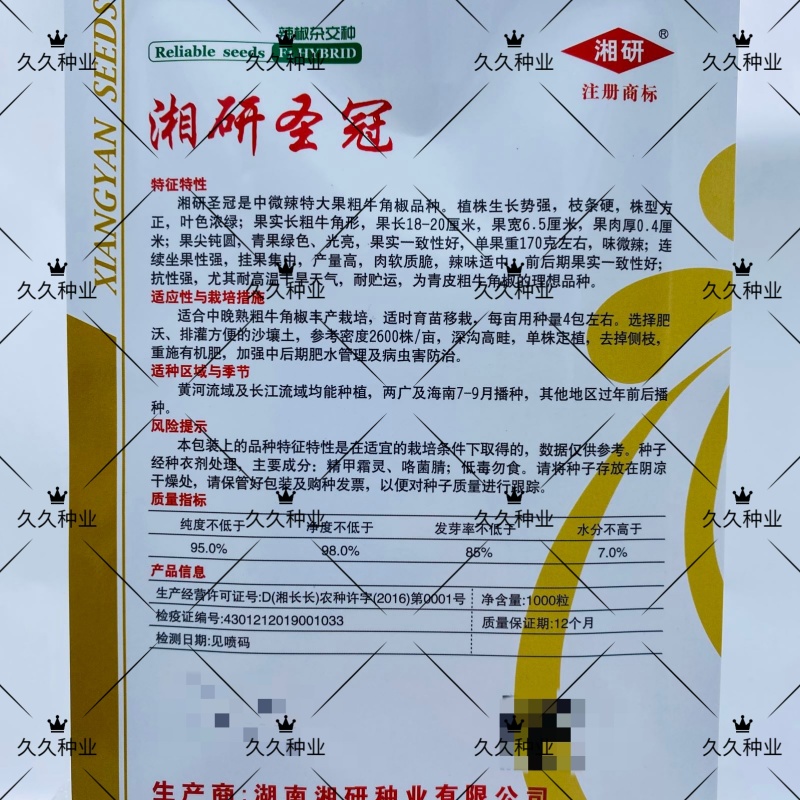 湘研圣冠辣椒种子春秋中熟微辣粗大果牛角椒质脆丰产抗病