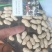 精品鲜花生，湿花生籽粒饱满，商超市场电商，加工厂代发