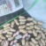 精品鲜花生，湿花生籽粒饱满，商超市场电商，加工厂代发