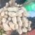精品鲜花生，湿花生籽粒饱满，商超市场电商，加工厂代发
