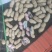 精品鲜花生，湿花生籽粒饱满，商超市场电商，加工厂代发
