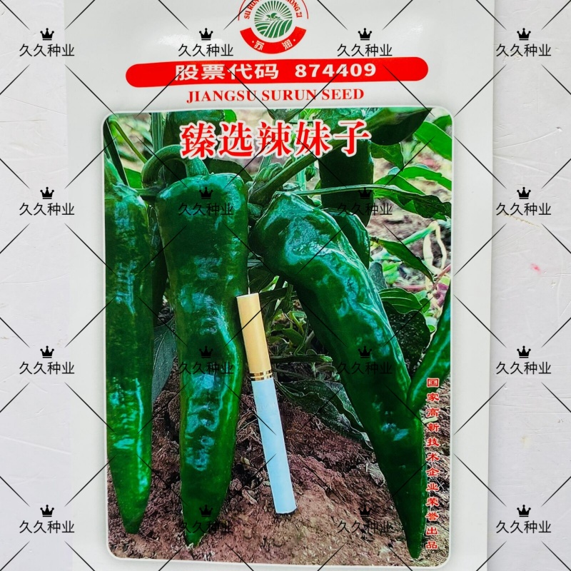 苏润臻选辣妹子辣椒种子早熟抗病果个大辣椒种子青红两用辣