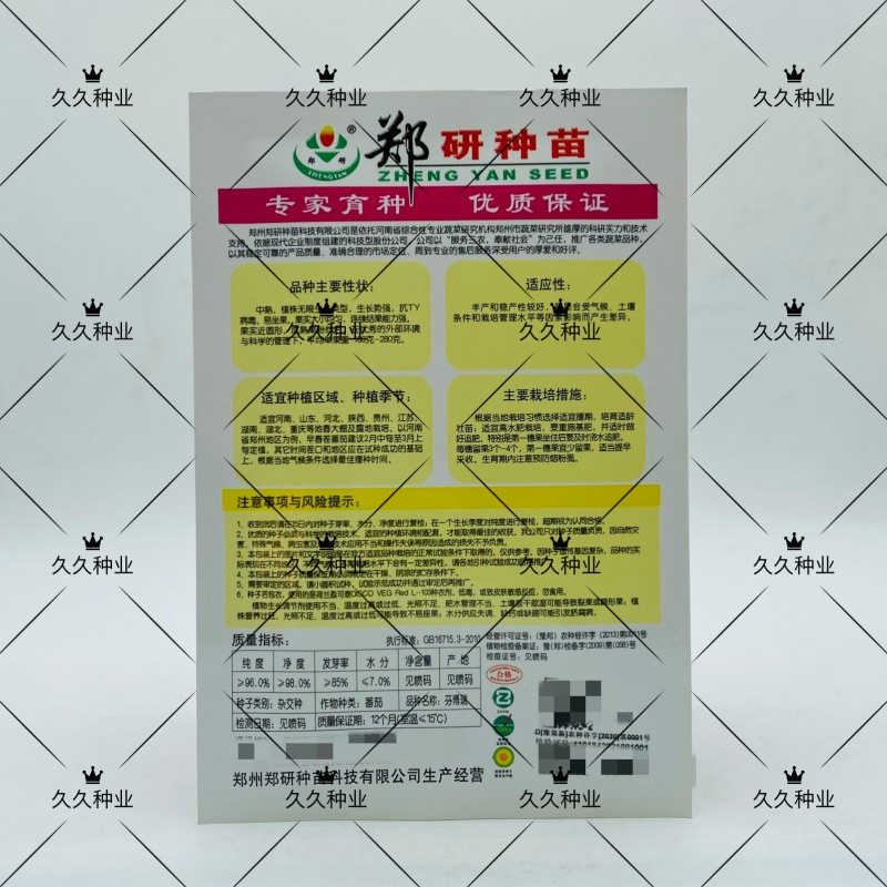 郑研芬博瑞粉红番茄种籽西红柿种子中熟抗病高产无限生长型