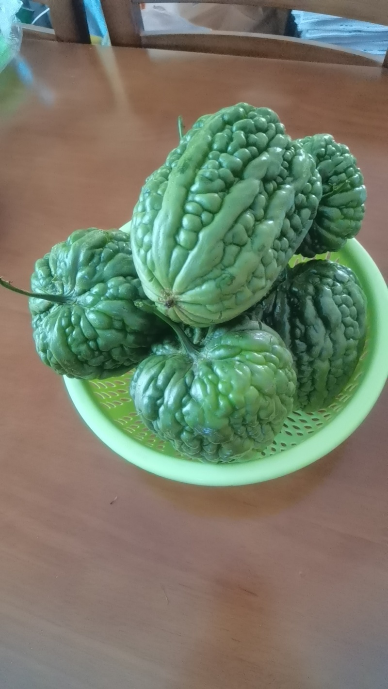 苦瓜干