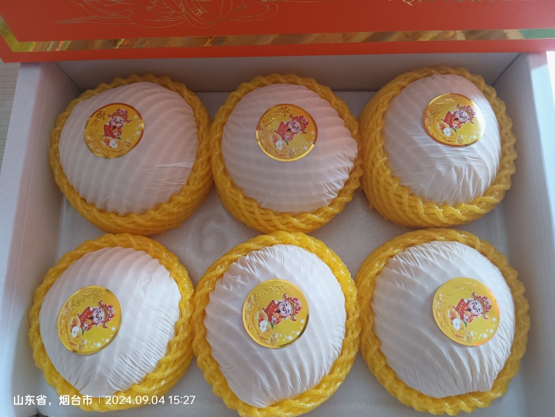 正宗秋月蜜梨，肉细无渣，脆甜可口！新鲜采摘！果园直达