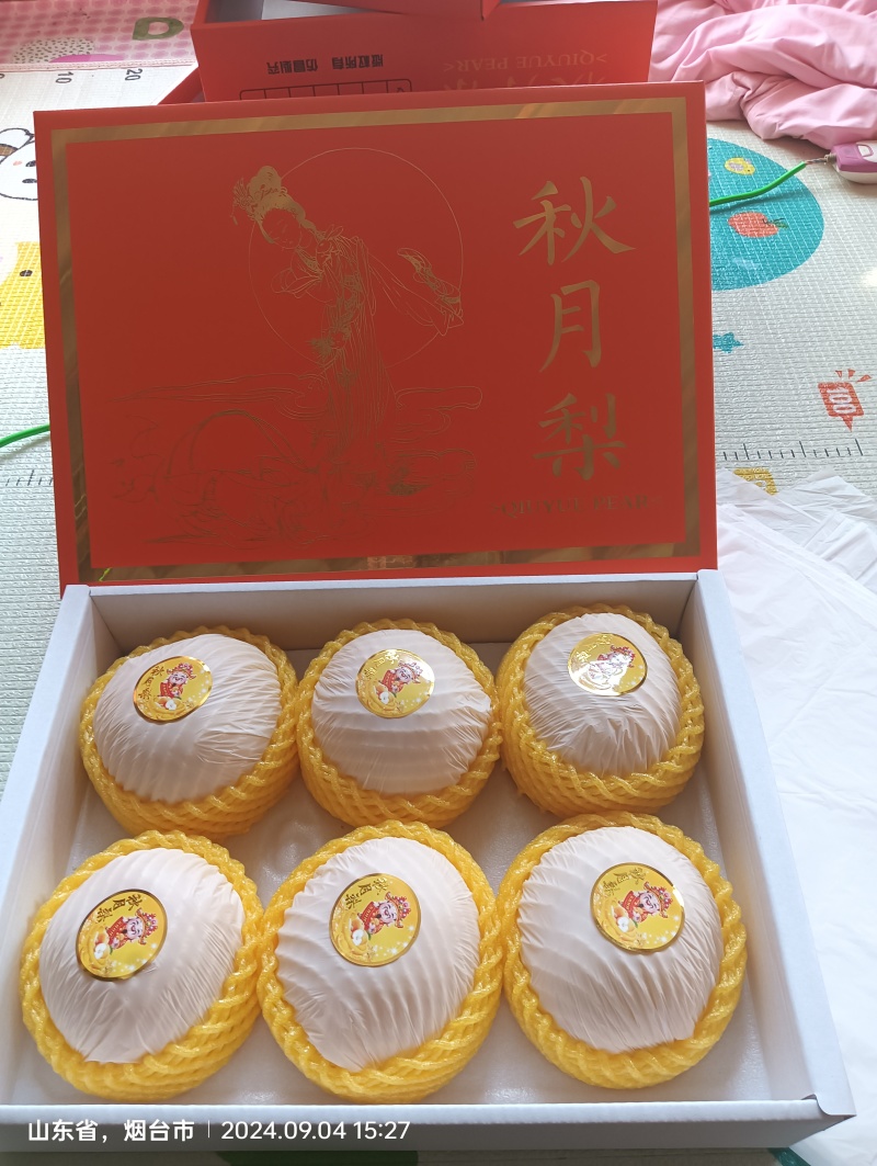 正宗秋月蜜梨，肉细无渣，脆甜可口！新鲜采摘！果园直达