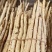 无硫沙参条中药批发一手货源量大忧惠全国发货