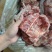 国产肥猪猪胫骨，带肉率高，**日期的货