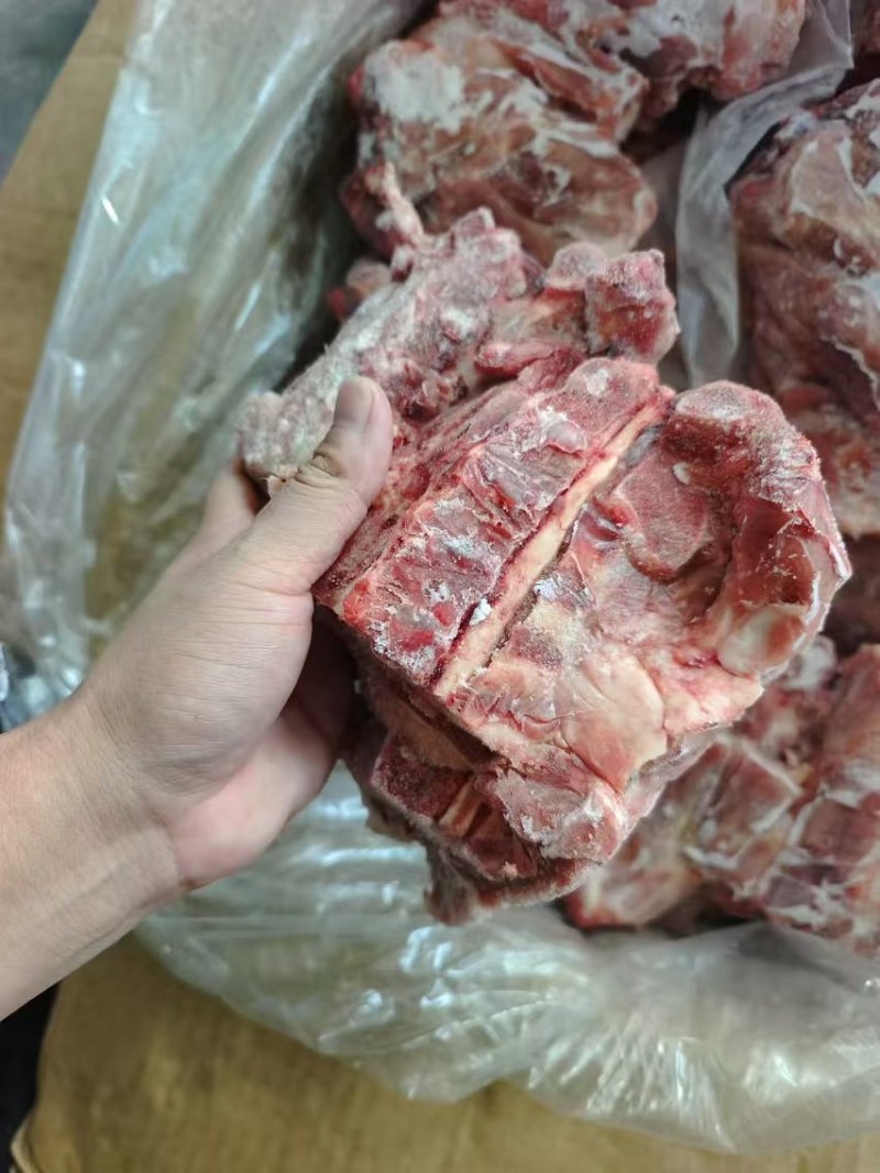国产肥猪猪胫骨，带肉率高，**日期的货