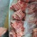 国产肥猪猪胫骨，带肉率高，**日期的货