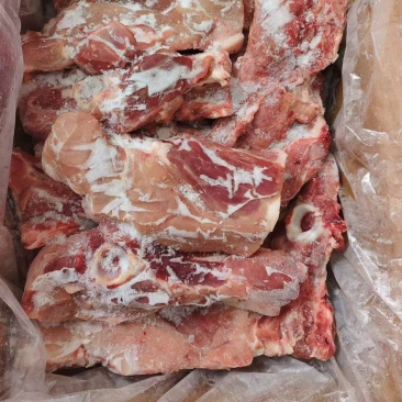 多肉国产叉尾骨，**日期的货，颜色鲜亮