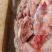 多肉国产叉尾骨，**日期的货，颜色鲜亮