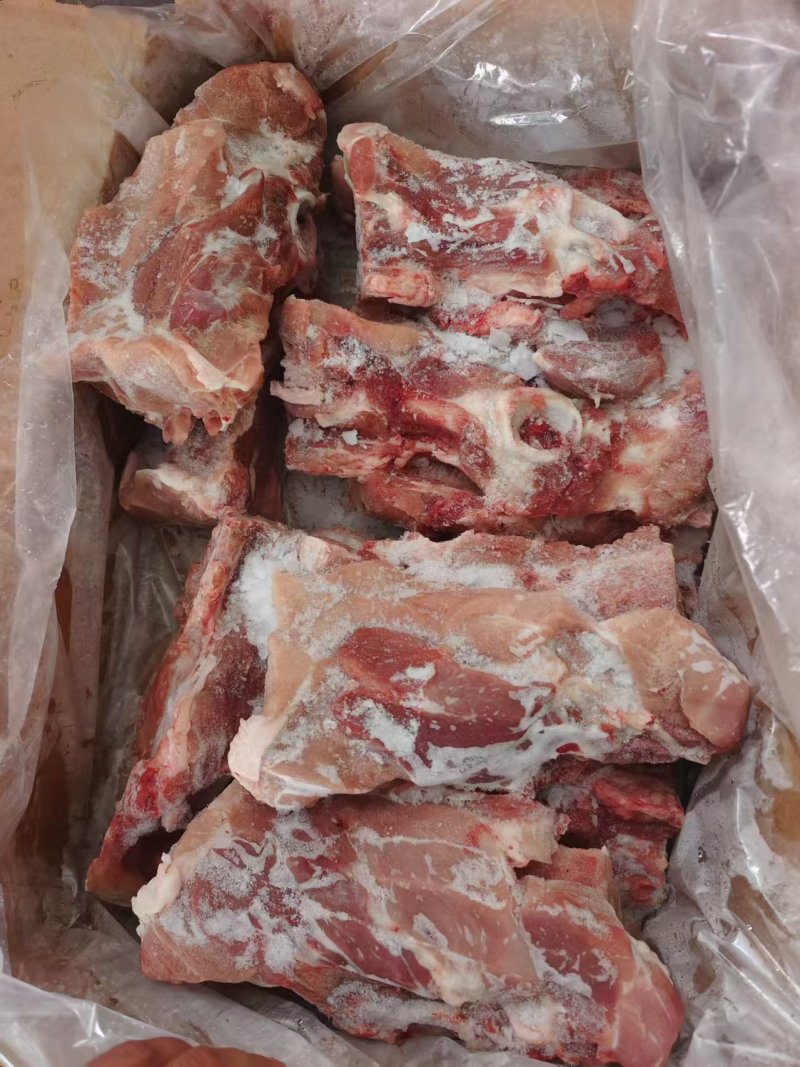 多肉国产叉尾骨，**日期的货，颜色鲜亮