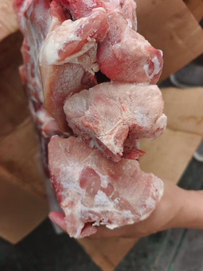 多肉国产叉尾骨，**日期的货，颜色鲜亮