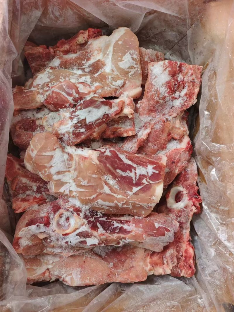 多肉国产叉尾骨，**日期的货，颜色鲜亮