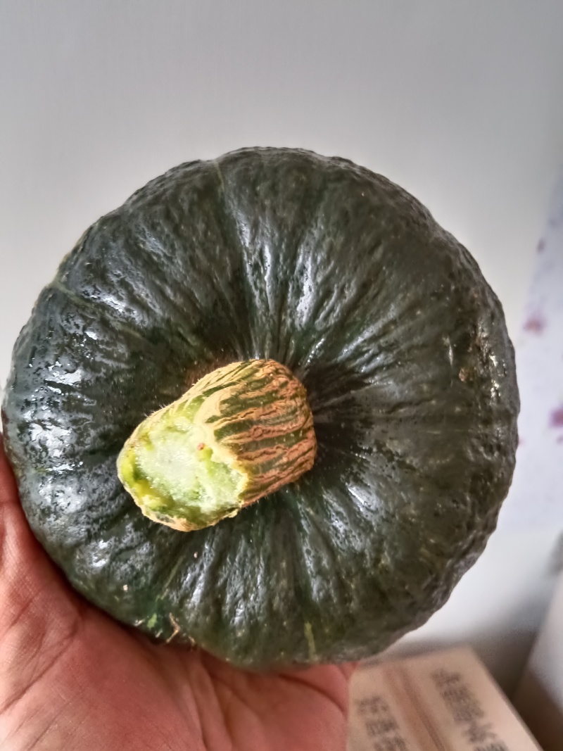 贝贝南瓜