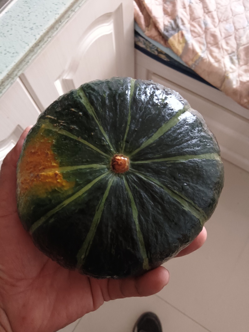 贝贝南瓜