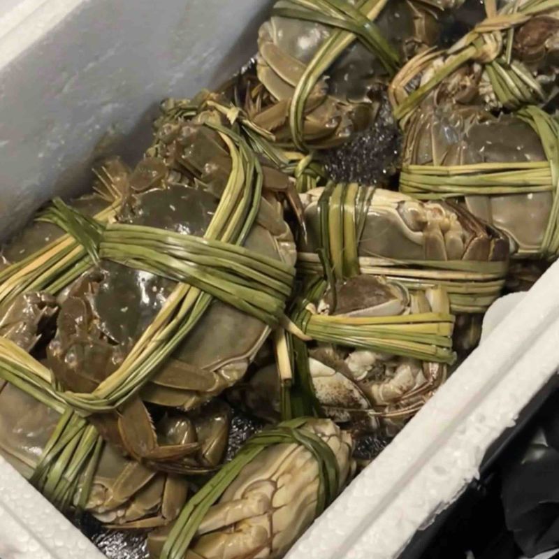湖北大闸蟹批发一手货源可供酒店餐饮商超全国发货