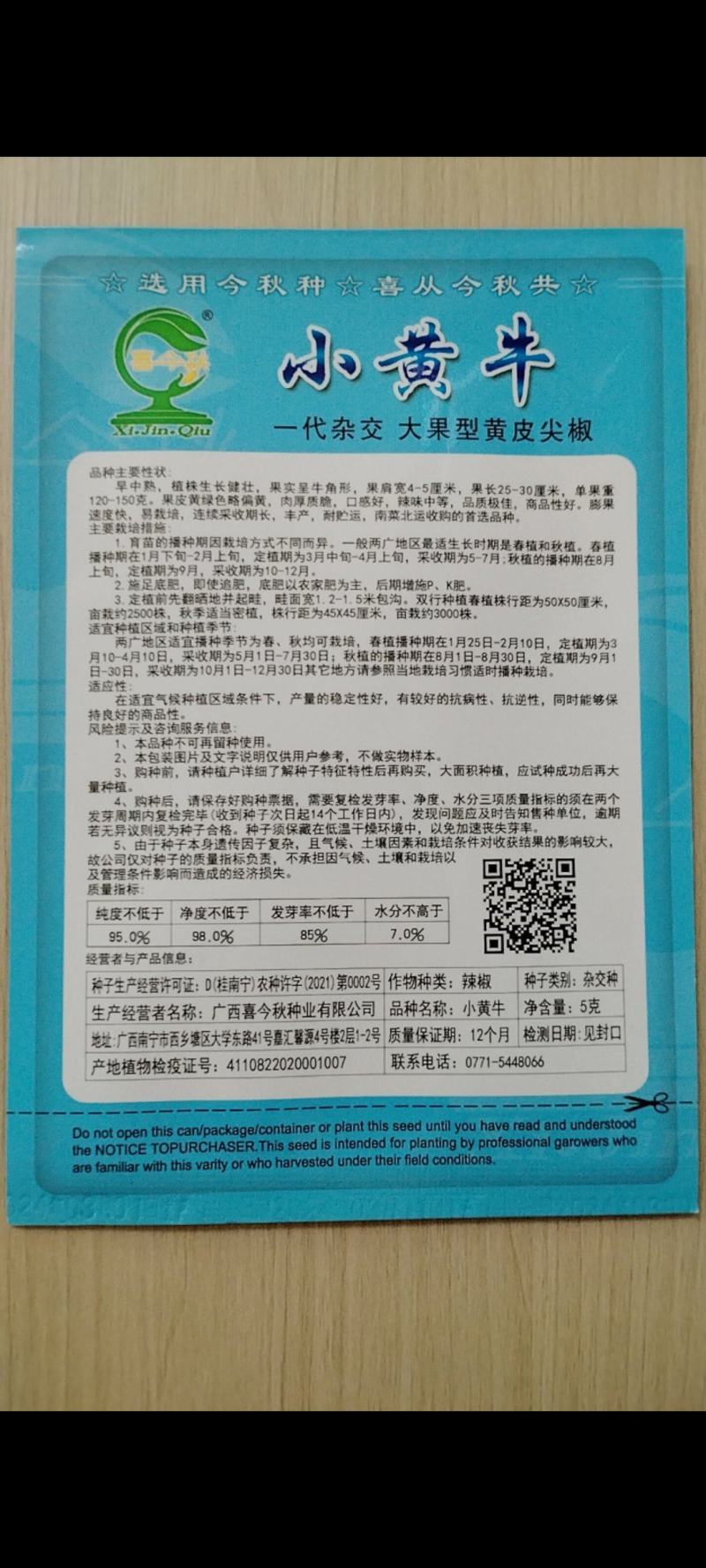 小黄牛黄皮尖椒种子早中熟抗高温耐湿耐低温采收期长