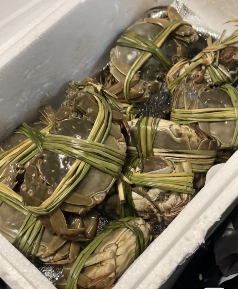 湖北大闸蟹批发一手货源可供酒店餐饮商超全国发货