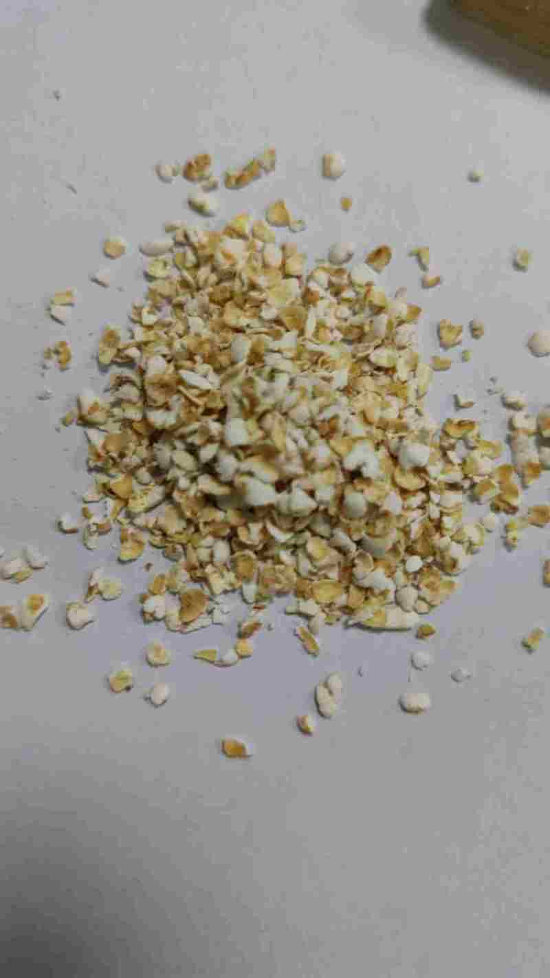 常年供应燕麦麸皮片